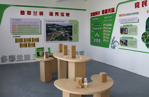 龙岩新罗 千年薏米贡品焕新生，全链增值打造“共富金豆”